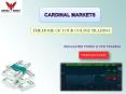 Cardinal Markets - The Home of Your Online Trading PowerPoint PPT Presentation