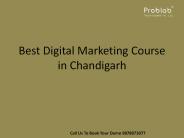 Best Digital Marketing Course in Chandigarh