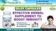 Giloy Capsules (Tinospora Cordifolia) - Ayurvedic, Medicinal Properties, Health Benefits & Dosage