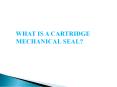 What is a cartridge mechanical seal? - LEAK-PACK PowerPoint PPT Presentation