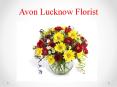 Send Cakes and Flowers to Lucknow PowerPoint PPT Presentation