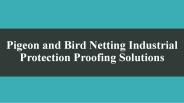Pigeon and Bird Netting Industrial Protection Proofing Solutions