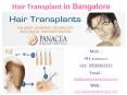 Panacea Hair Transplant in Bangalore, Hair Transplant Cost in Bangalore PowerPoint PPT Presentation