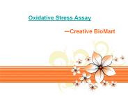 Oxidative Stress Assay
