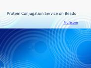 Protein Conjugation Service on Beads