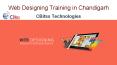Web designing Training in Chandigarh (6) PowerPoint PPT Presentation