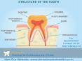 Top and Best Dental Clinic in Delhi PowerPoint PPT Presentation