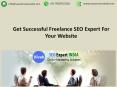 Get Successful Freelance SEO Expert For Your Website PowerPoint PPT Presentation