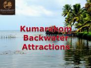 Outstanding Kumarakom Backwaters