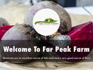 Far Peak Farm Presentation