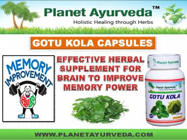 Gotu Kola Capsules | Centella asiatica - Benefits and Uses