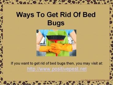 Ways To Get Rid Of Bed Bugs