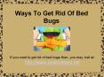 Ways To Get Rid Of Bed Bugs PowerPoint PPT Presentation