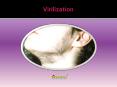 Virilization: A common female health condition (2) PowerPoint PPT Presentation