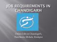 Online job in Chandigarh, Panchkula, Mohali, Zirakpur PowerPoint PPT Presentation