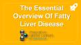 The Essential Overview Of Fatty Liver Disease PowerPoint PPT Presentation