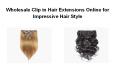 Wholesale Clip in Hair Extensions Online for Impressive Hair Style PowerPoint PPT Presentation