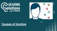 Causes of Tinnitus PowerPoint PPT Presentation