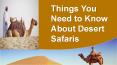 Things You Need to Know About Desert Safaris PowerPoint PPT Presentation