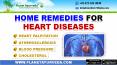 Top Home Remedies for Heart Problems (Cardiovascular Diseases) PowerPoint PPT Presentation