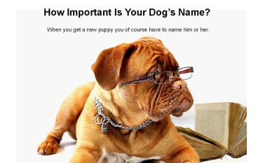 How Important Is Your Dog’s Name?