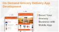 On Demand Grocery Ordering and Delivery Business App Development