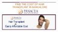 Hair Transplant Cost in Bangalore, Affordable Hair Trasplant in India PowerPoint PPT Presentation