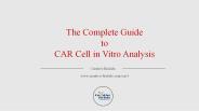 The Complete Guide  to  CAR Cell in Vitro Analysis