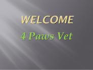 Get the best Vets in Neutral Bay