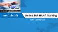 Online SAP HANA Training PowerPoint PPT Presentation
