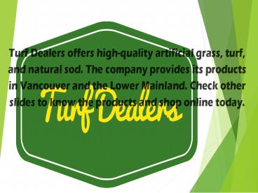 Revamp Your Lawn With Artificial Grass