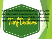 Revamp Your Lawn With Artificial Grass