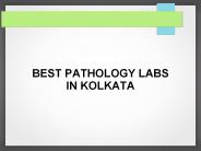 Liver Function Test in Kolkata