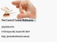 Pest Control Tarneit Melbourne PowerPoint PPT Presentation