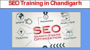 SEO Training in Chandigarh (3)