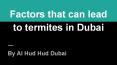 Termite Control In Dubai | Al Hud Hud PowerPoint PPT Presentation