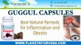 Best Natural Remedy for Inflammation and Obesity - Guggul Capsules PowerPoint PPT Presentation