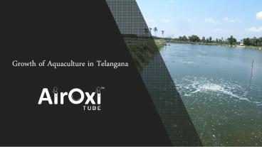 Growth of Aquaculture in Telangana - AirOxi Tube