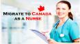 Migrate to Canada as a Nurse - Pelican Migration Consultants PowerPoint PPT Presentation
