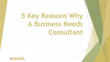 5 Key Reasons Why A Business Needs Consultant