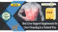 Best Liver Support Supplements for Liver Cleansing in a Natural Way PowerPoint PPT Presentation