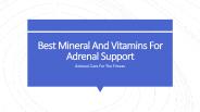 Best Mineral And Vitamins For Adrenal Support