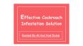Effective Cockroach Infestation Solution Guided By Al Hud Hud Dubai PowerPoint PPT Presentation