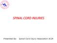 spinal cord injury PowerPoint PPT Presentation