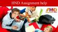 Hnd assignment help (9) PowerPoint PPT Presentation