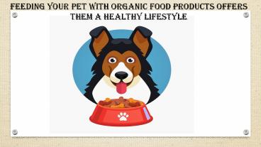 Organic dog food