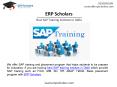 SAP Training Institute in Delhi – SAP FICO, SAP MM, SAP HR, SAP ABAP, SAP SD, SAP HANA PowerPoint PPT Presentation