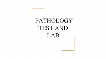 best pathology labs in delhi