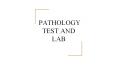 best pathology labs in delhi PowerPoint PPT Presentation