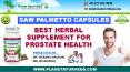 Best Herbal Remedy for Prostate Health | More Benefits of Saw Palmetto Capsules